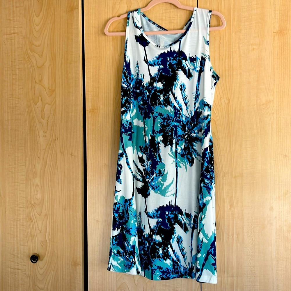 Sleeveless Blue and White Floral Dress